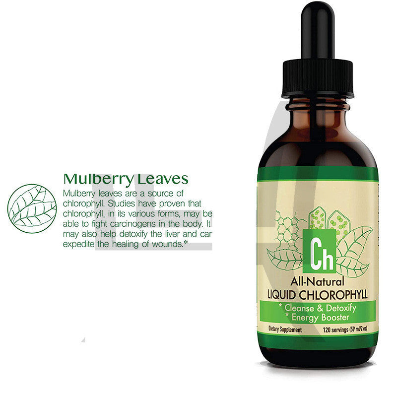 Natural Flavor Alcohol Free Chlorophyll Drops